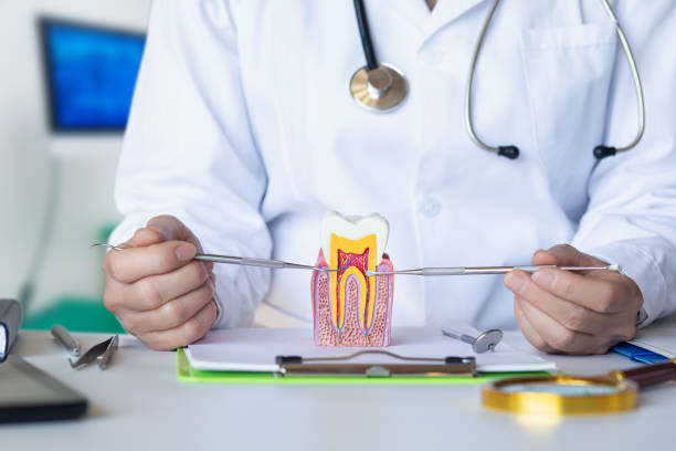 Best Emergency Broken Tooth Repair in Worcester, MA